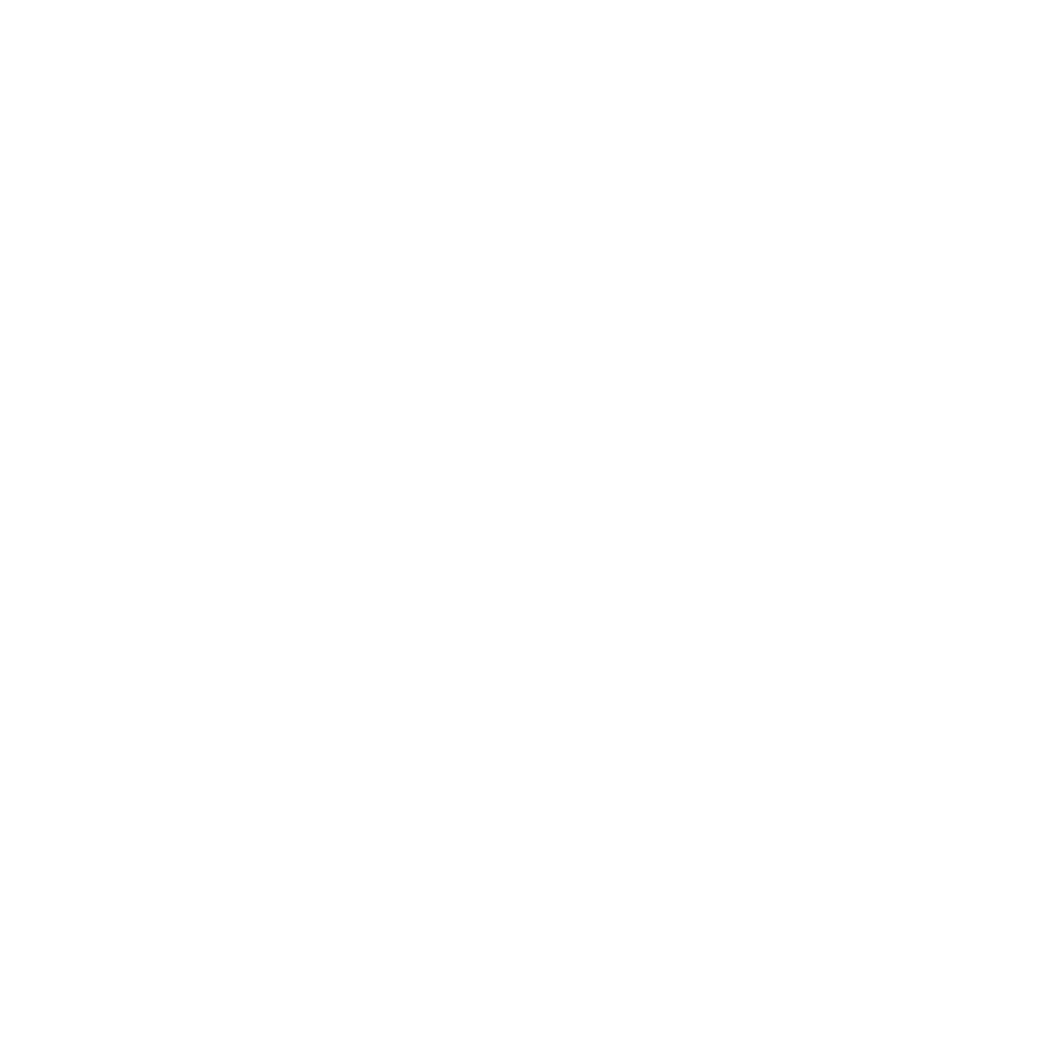 White Stylized Compass